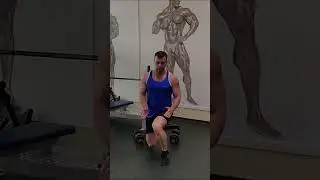 Выпады с гантелями - ошибки