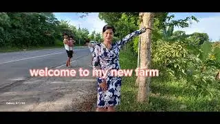 My Farm more grass and bugs to crush