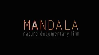 Mandeo Records - MANDALA - teaser