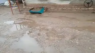 Хорошая новость в непогоду.