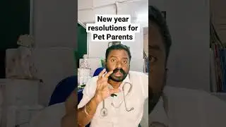 New year 2024 resolution for #pets owner #trending #viral #dog #trending shorts #shorts #viralshorts