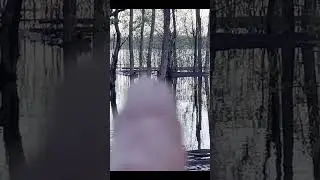 Это когда то поляна. Разлив реки Иртыш в июне 