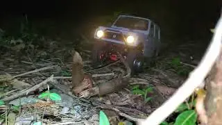 ナイトサファリ
