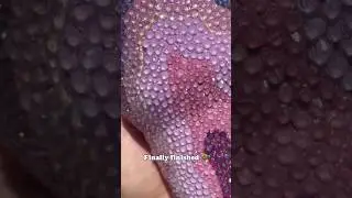 Rhinestone Geode Tumbler ✨ #blingbling #rhinestone #stanley #blingtumbler