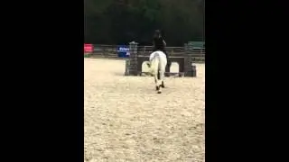 Super Jument
