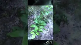 Nature is Savage and beautiful.