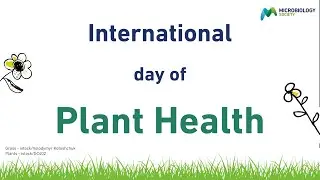 Plant Health Day: An interview with Dr Andrew Armitage