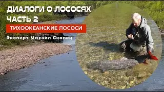 Диалоги о лососях. Часть 2