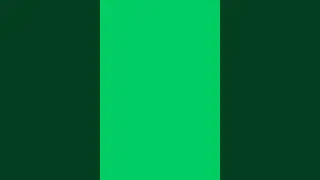 Turtle cycle green screen animation
