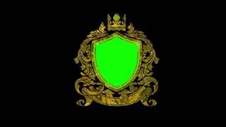 Green Screen Shield 2