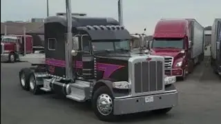 TOP TRUCK USA #shorts 16