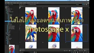 photoscape x สำหรับ mac และ windows, photoscape x for mac , photoscape x for windows