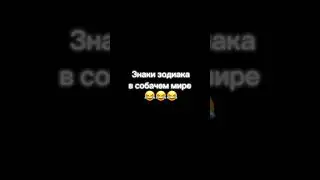 Если бы и собаки 🐕 были со знаком зодиака 😂