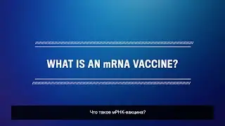 Что такое мРНК-вакцина?