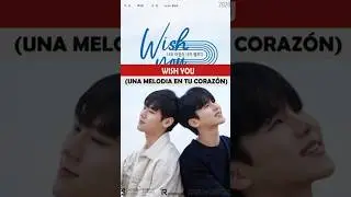 “WISH YOU” creo ya no esta en netflix #kdramas #seriesbl #coreanos #boyslove #doramascoreanos