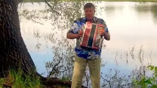 Песня-золотая рыбка.