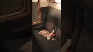 Saliamo sull' Hogwarts Express!