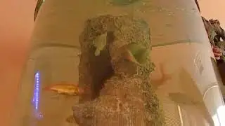 Изготовление аквариумов