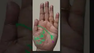 #Palmistry - Writer's Hand OR Branches (Fork) on the Head Line in Hand (English)