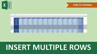 How To Insert Multiple Rows In Excel | Beginner Tutorial