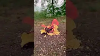 Amazing Lifehacks with Chips and Corn. #camping #survival #skills