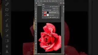 Cambiar color en photoshop