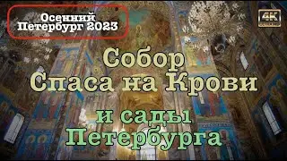 Осенний Петербург 2023 ⚓️ Собор Спаса на Крови и сады Петербурга🌳