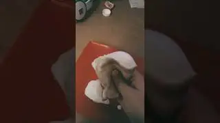 хвхвх 