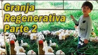 GRANJA REGENERATIVA PARTE 2