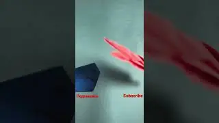 Оригами дельфин и кит | Origami dolphin and whale