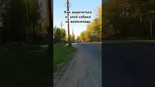 Как защититься от злой собаки на велосипеде