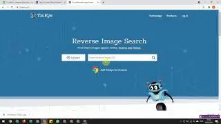 Download Unlimited iStock images for free | Images without Watermark