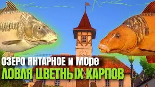Прокачка МЛО и Ловля ЦВЕТНЫХ Карпов + АХТУБА |  Русская Рыбалка 4 [PC 2018]