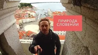 Природа Словении удивительна. И немного Будапешта.
