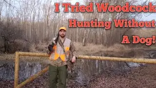 Woodcock Hunting Without A Dog!?