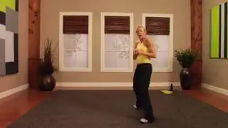 Fitness: Advanced Kickbox Vol. 1 Workout 1