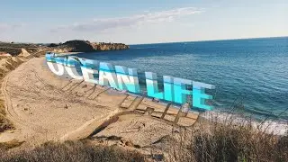 Cinematic Text Appear in PIXELLAB | Stylish Text Making Tutorial In Pixellab | Ocean Text Effects