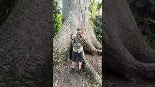 A Fact About Trees You Didn't Know! 🌳