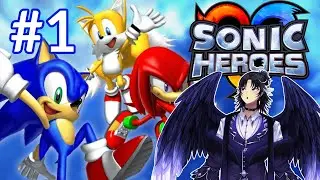 Team Sonic Shenanigans【SONIC HEROES Stream Highlights】