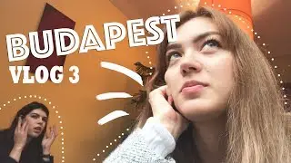 ТОММИ ТОРИ БУДАПЕШТ ВЛОГ│ОРГАННЫЙ КОНЦЕРТ│OUR LAST DAY