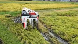 MESIN PEMANEN PADI LUAR NEGERI