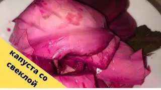 Квашеная капуста со свеклой и сельдереем