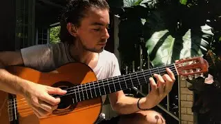 red hot chili peppers - tangelo (louis lnr cover)