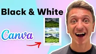 How To Adjust Black And White In Canva Pro (Quick And Easy Guide)