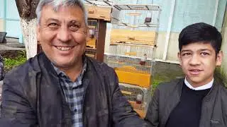 Ташкентский птичий рынок: Канарейки. 20.04.19
