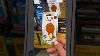 Don't Be a Victim of Lyme Disease: Try This Tick Remover
