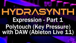 Hydrasynth Expression - Part 1 Polytouch (Key Pressure) with DAW (Ableton Live 11)