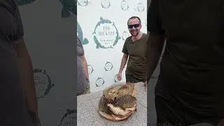 17 июня 2023 г.