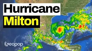 Hurricane Milton Makes Landfall in Florida: How to Deal with Its Destructive Power