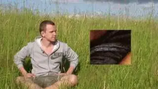 Реальность для самых маленьких №3.[60 fps]